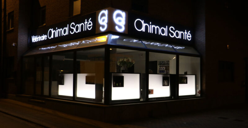GS4A4817